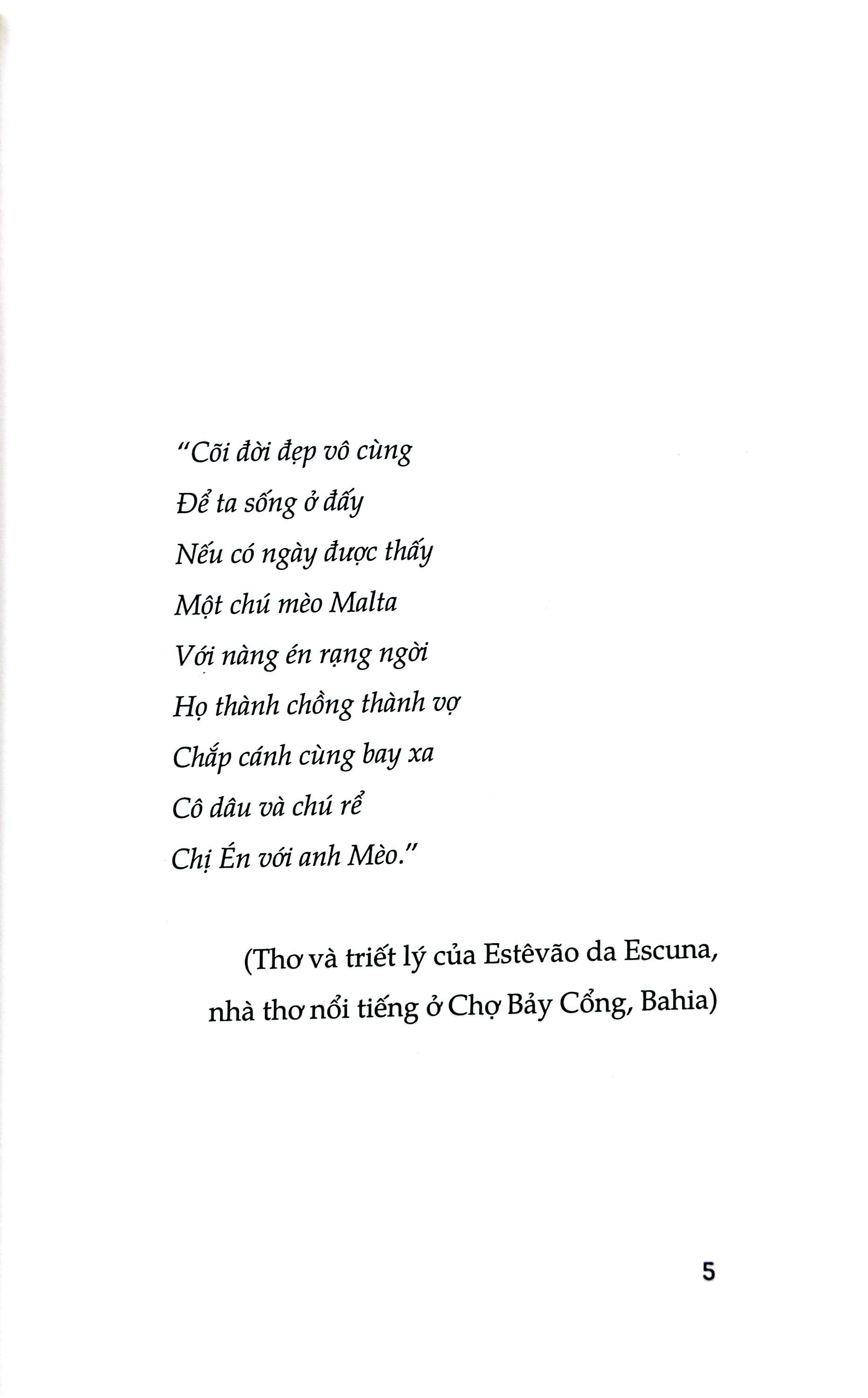 anh mèo vằn và cô chim én - một chuyện tình
