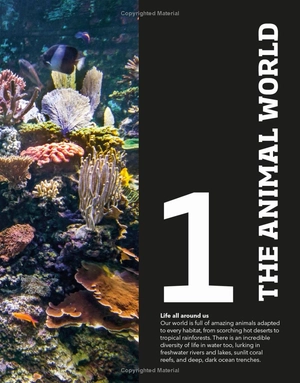 animal knowledge genius! : a quiz encyclopedia to boost your brain