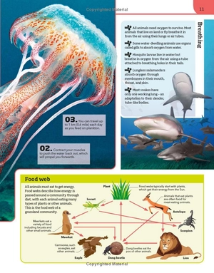 animal knowledge genius! : a quiz encyclopedia to boost your brain