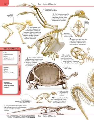 animal knowledge genius! : a quiz encyclopedia to boost your brain