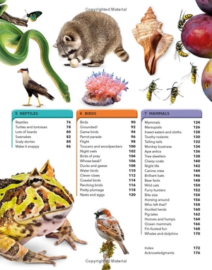 animal knowledge genius! : a quiz encyclopedia to boost your brain