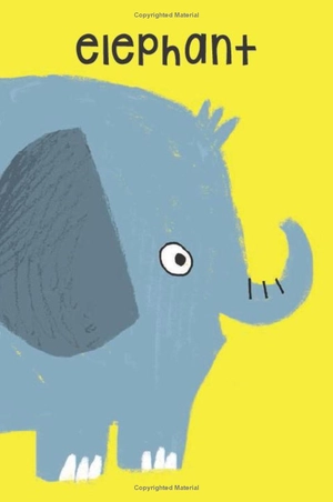 animal snap! flashcards