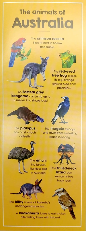 animals of the world