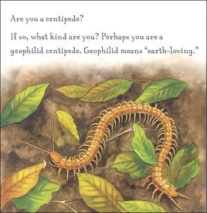 are you a centipede? (backyard books)