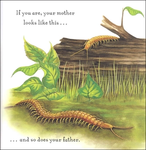 are you a centipede? (backyard books)