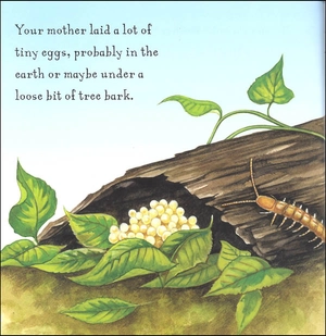 are you a centipede? (backyard books)