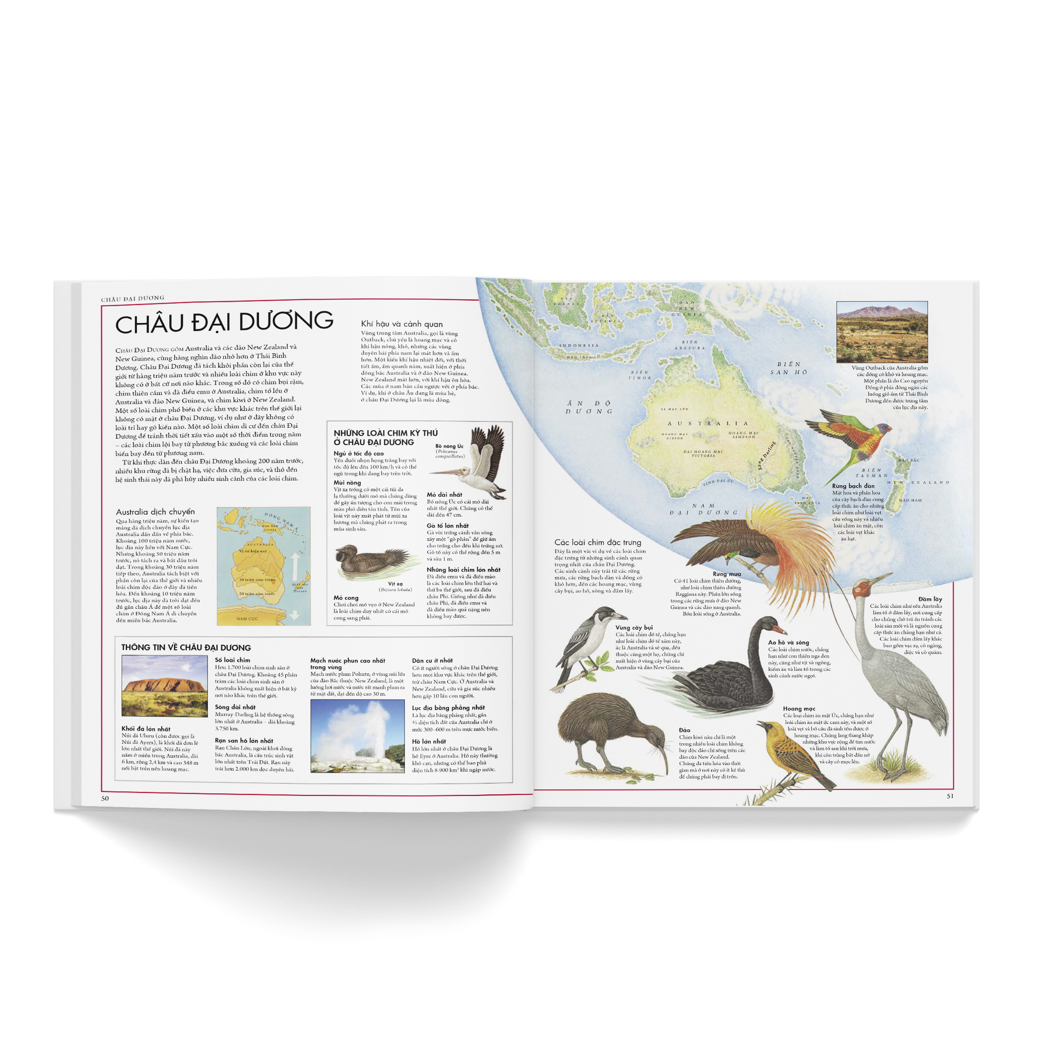 atlas các loài chim - bách khoa bằng hình về các loài chim trên thế giới