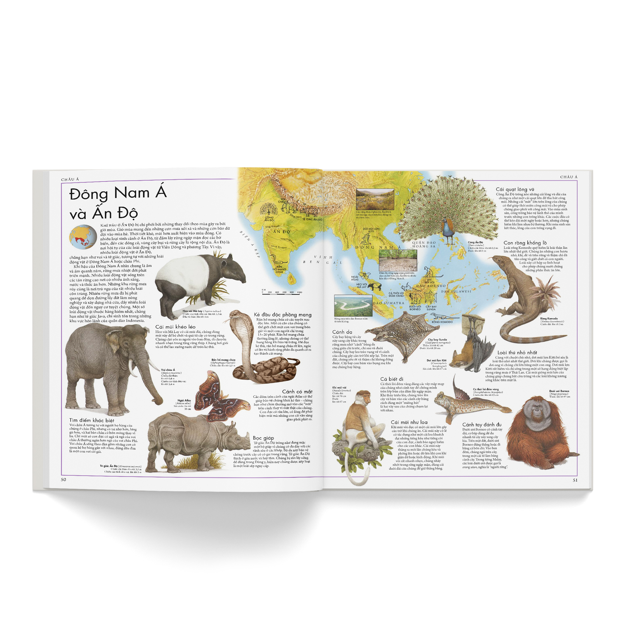 atlas động vật - bách khoa bằng hình về các loài động vật hoang dã trên thế giới