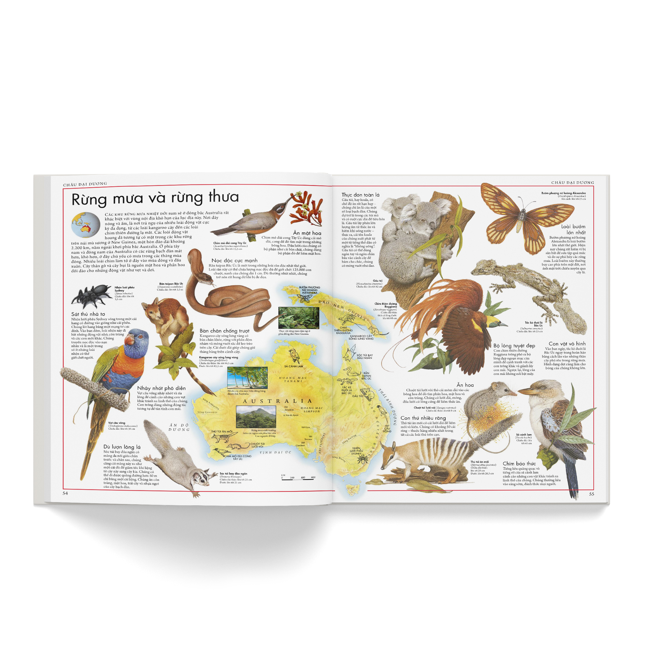 atlas động vật - bách khoa bằng hình về các loài động vật hoang dã trên thế giới