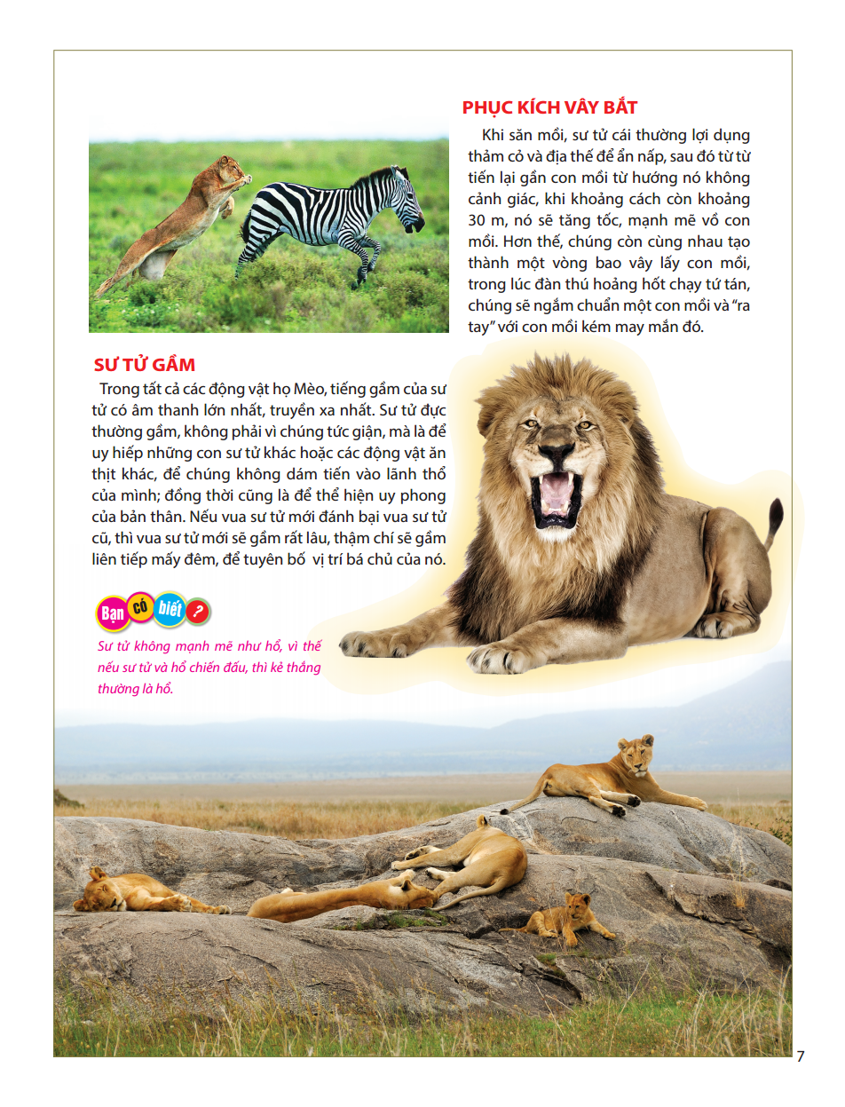 atlas động vật - vương quốc động vật - bìa cứng (tái bản 2023)