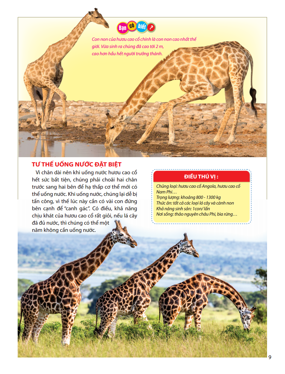 atlas động vật - vương quốc động vật - bìa cứng (tái bản 2023)