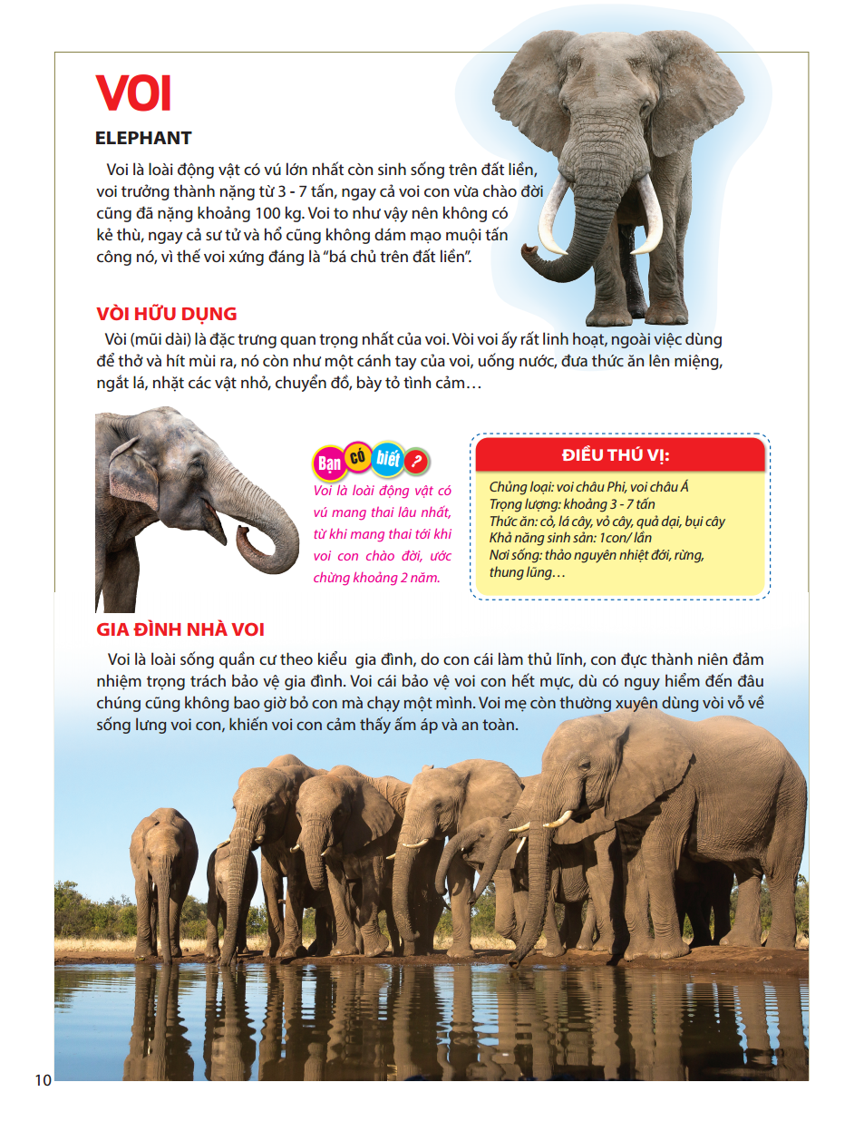 atlas động vật - vương quốc động vật - bìa cứng (tái bản 2023)