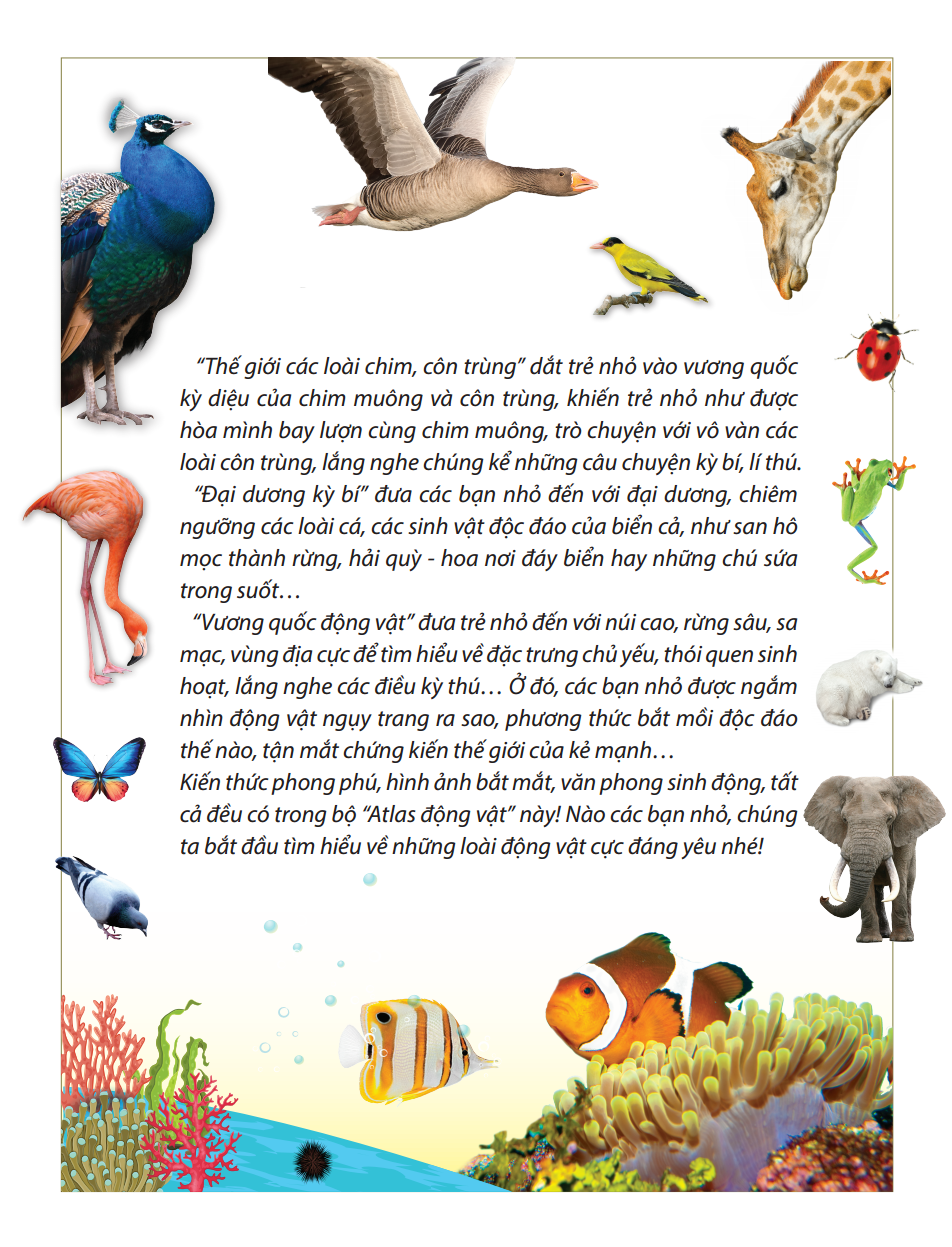 atlas động vật - vương quốc động vật - bìa cứng (tái bản 2023)