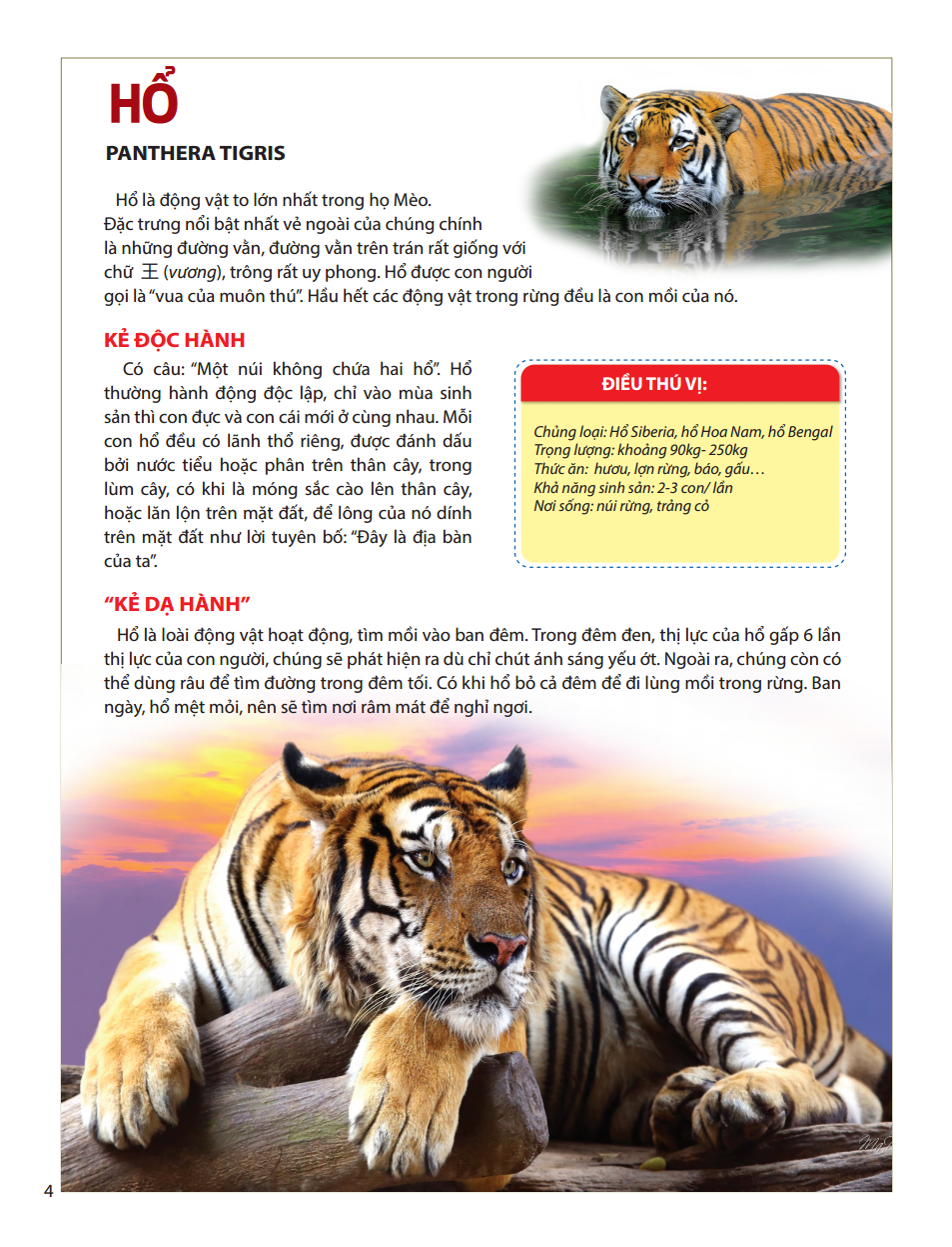 atlas động vật - vương quốc động vật - bìa cứng (tái bản 2023)