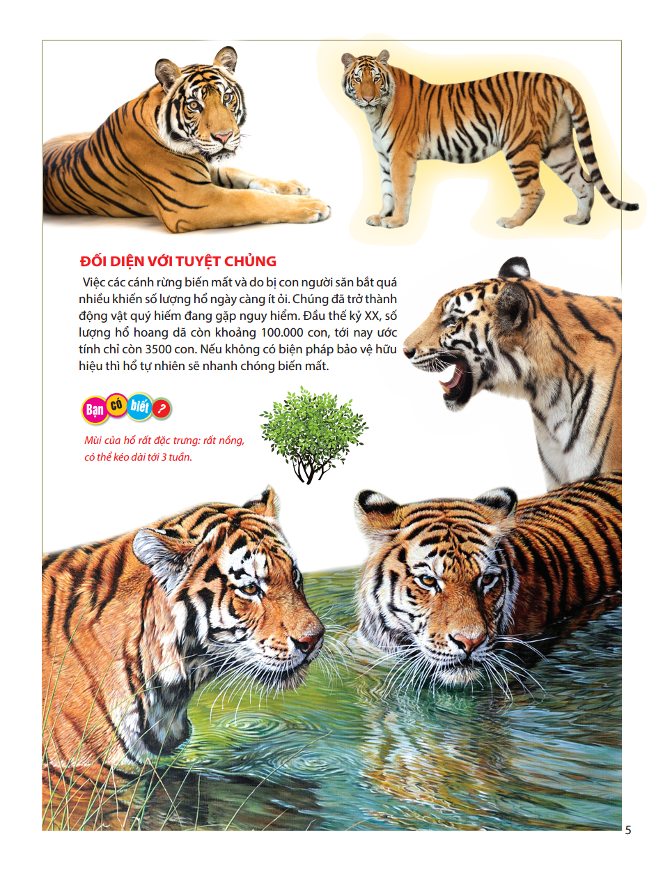 atlas động vật - vương quốc động vật - bìa cứng (tái bản 2023)