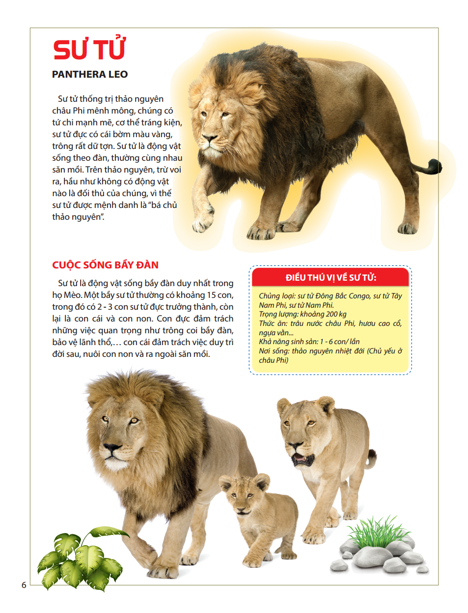 atlas động vật - vương quốc động vật - bìa cứng (tái bản 2023)