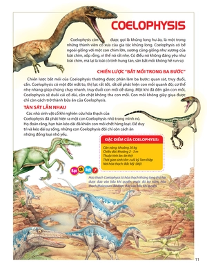 atlas động vật - vương quốc khủng long