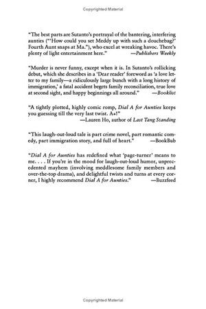 aunties 2: four aunties and a wedding