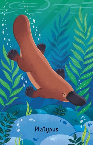 australian animals snap