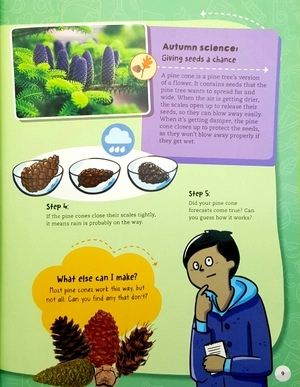 autumn (steam through the seasons)