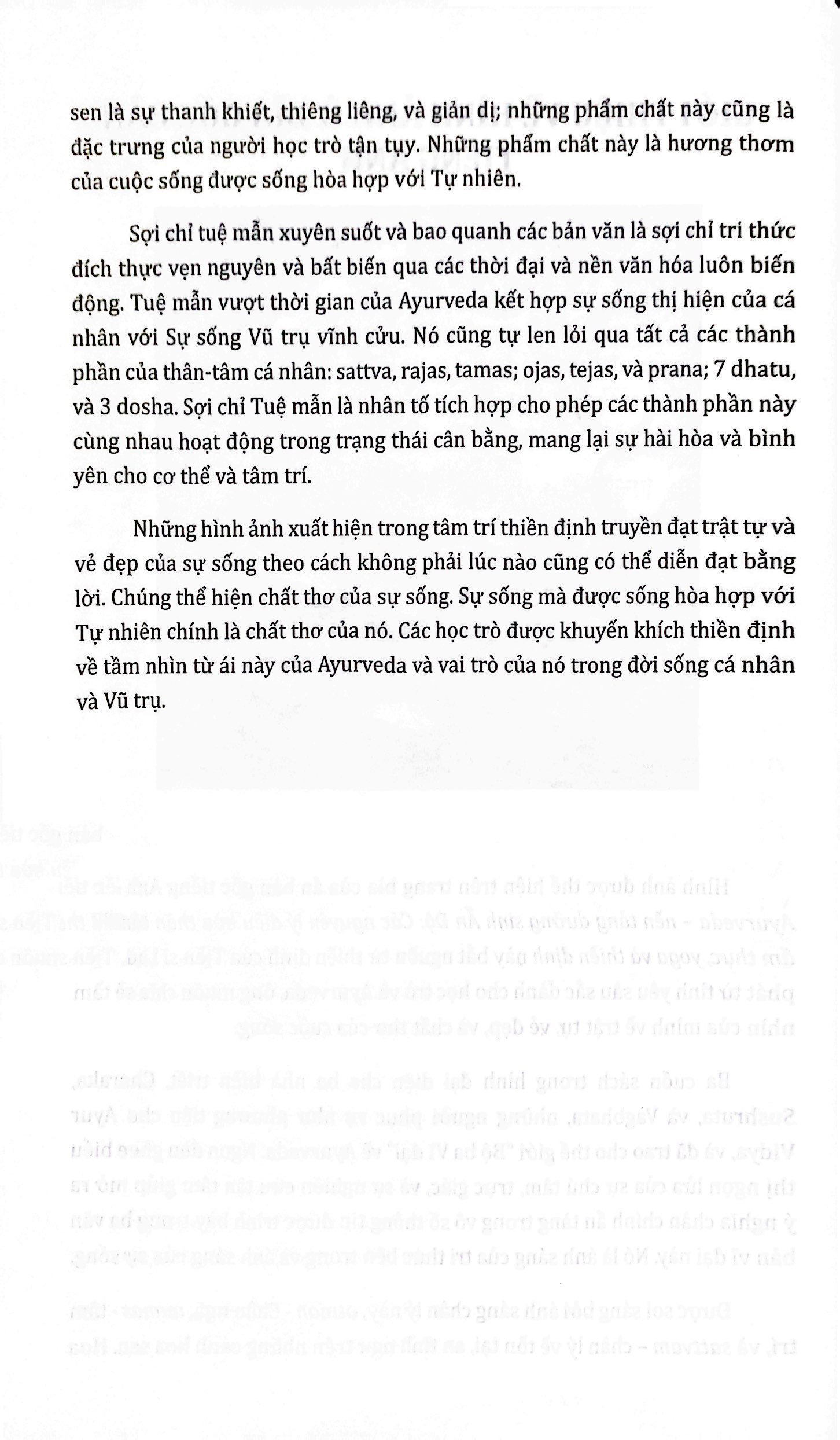 ayurveda - nền tảng dưỡng sinh ấn độ