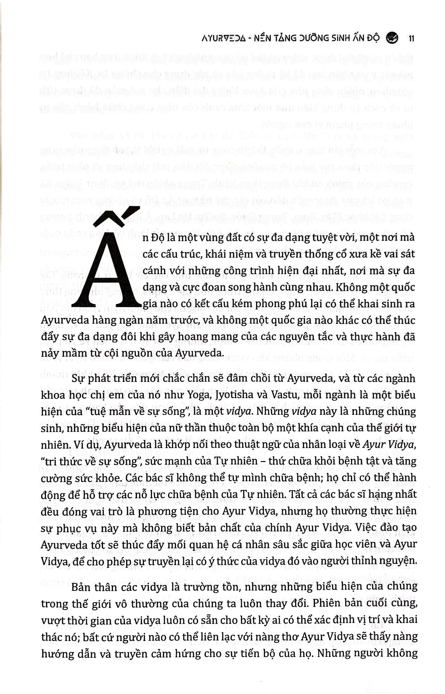 ayurveda - nền tảng dưỡng sinh ấn độ