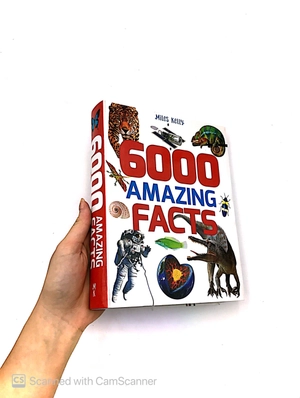 b384 6000 amazing facts