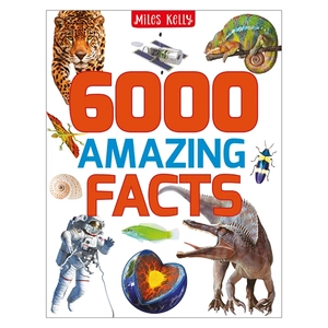 b384 6000 amazing facts