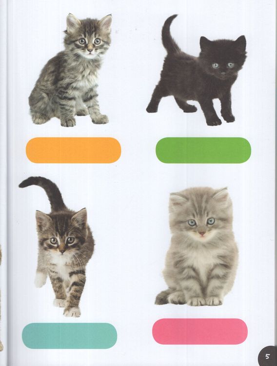 Baby Animals Sticker Activities