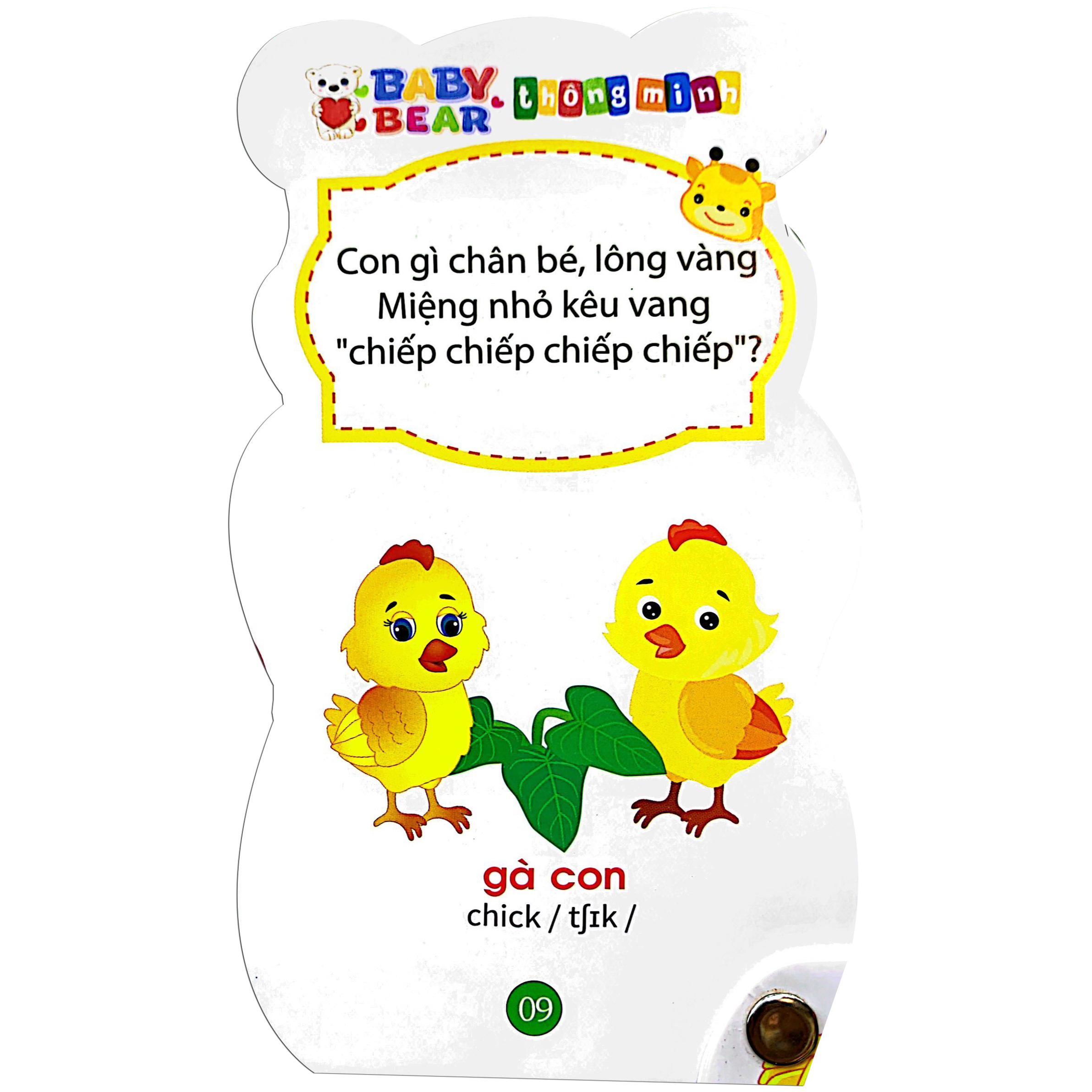 baby bear thông minh dành cho trẻ mầm non - động vật