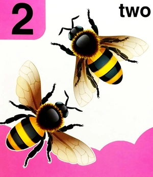 babyℹs mini books: 123