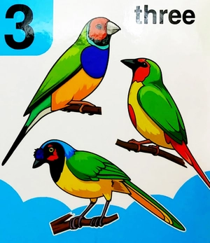 babyℹs mini books: 123