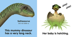baby touch and feel: baby dinosaur