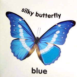 baby touch and feel colours and shapes