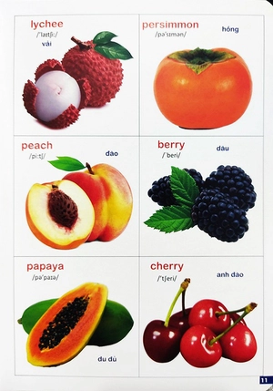 bách khoa bằng hình đầu tiên cho bé 3 - chủ đề các loài hoa, loại củ, rau củ