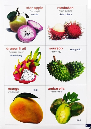 bách khoa bằng hình đầu tiên cho bé 3 - chủ đề các loài hoa, loại củ, rau củ