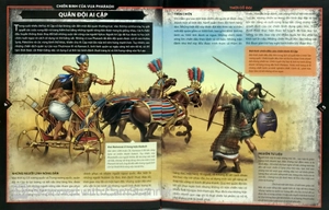 bách khoa bằng tranh - chiến binh (hình minh họa 3d)