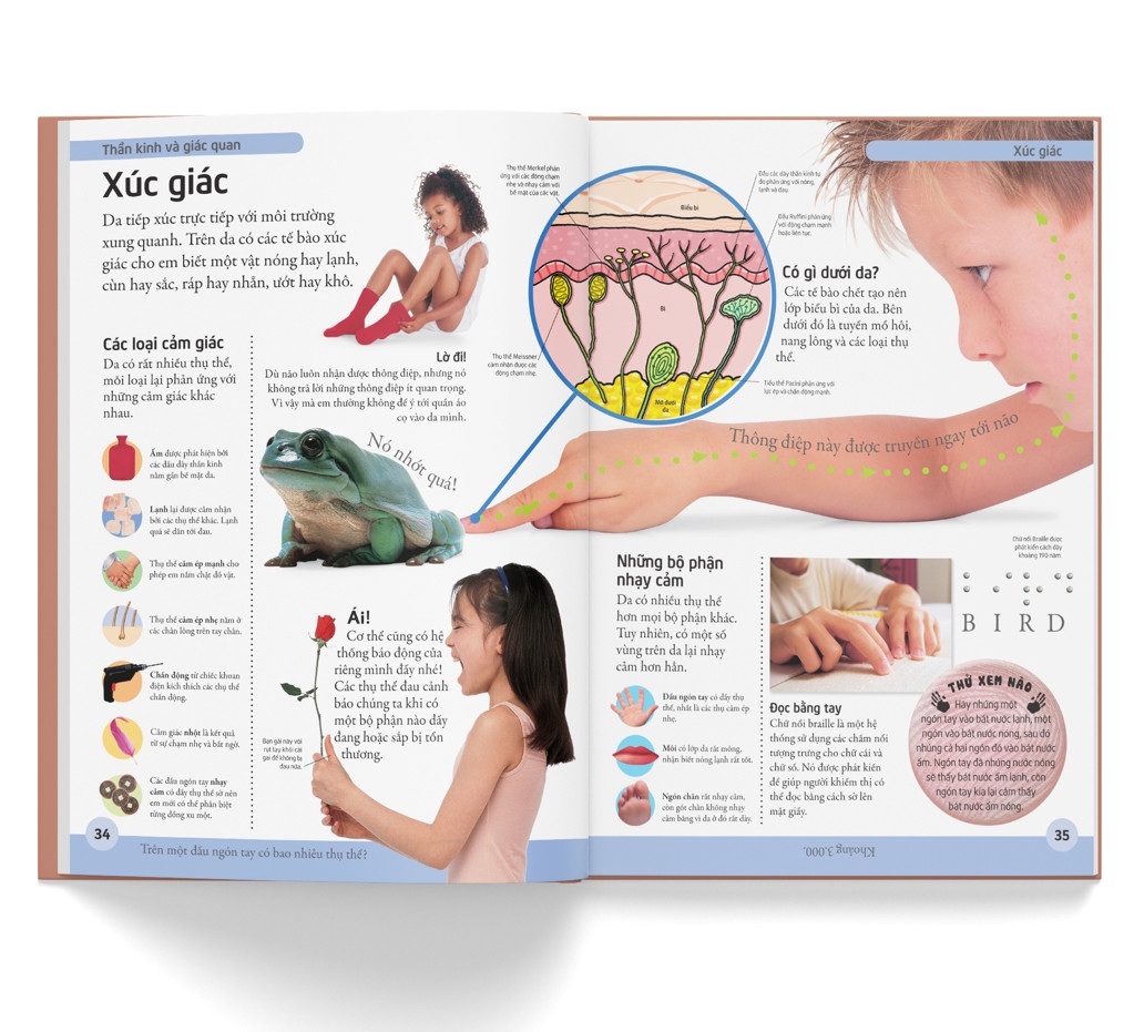 bách khoa cho trẻ em - bách khoa cơ thể người