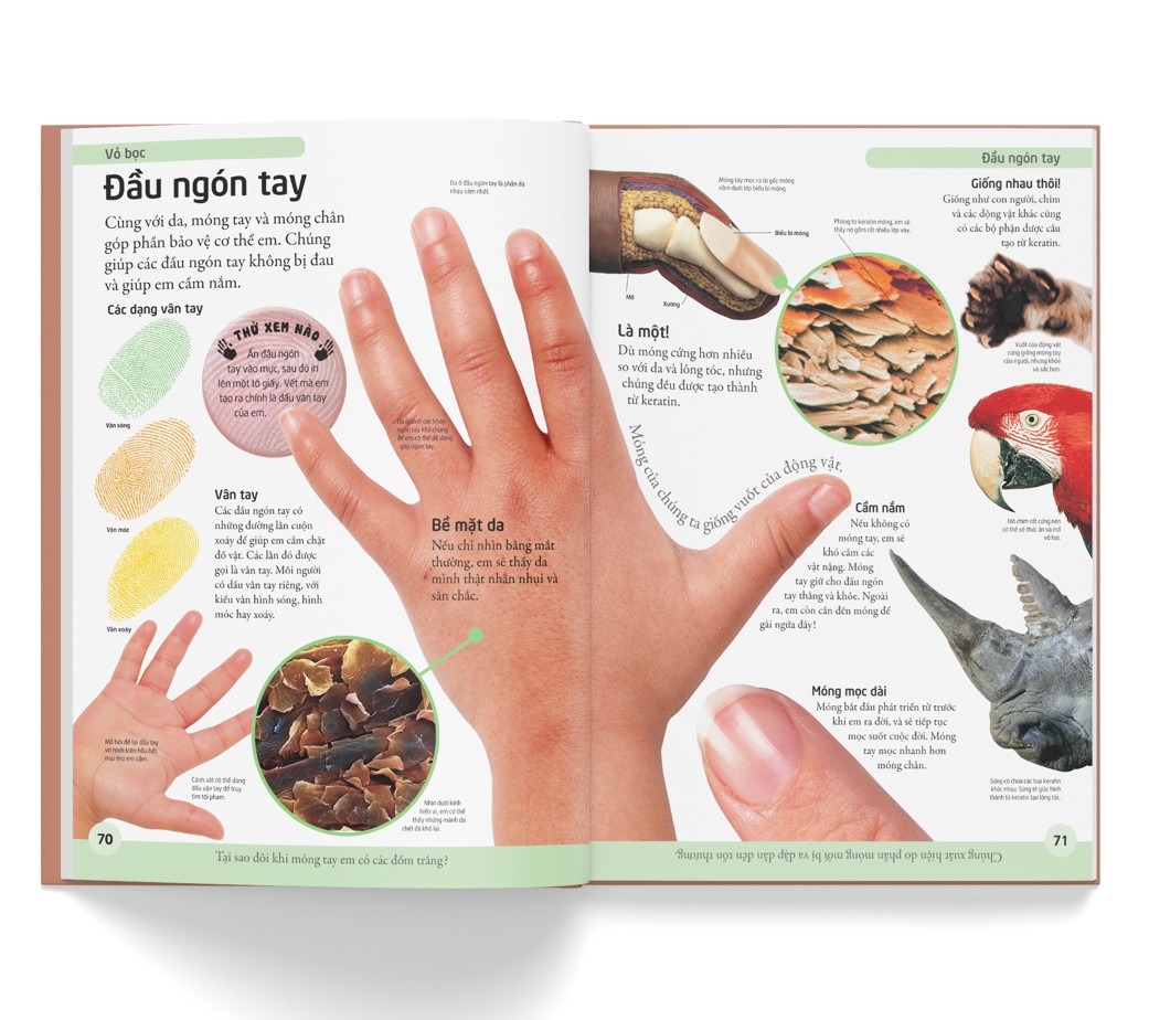 bách khoa cho trẻ em - bách khoa cơ thể người