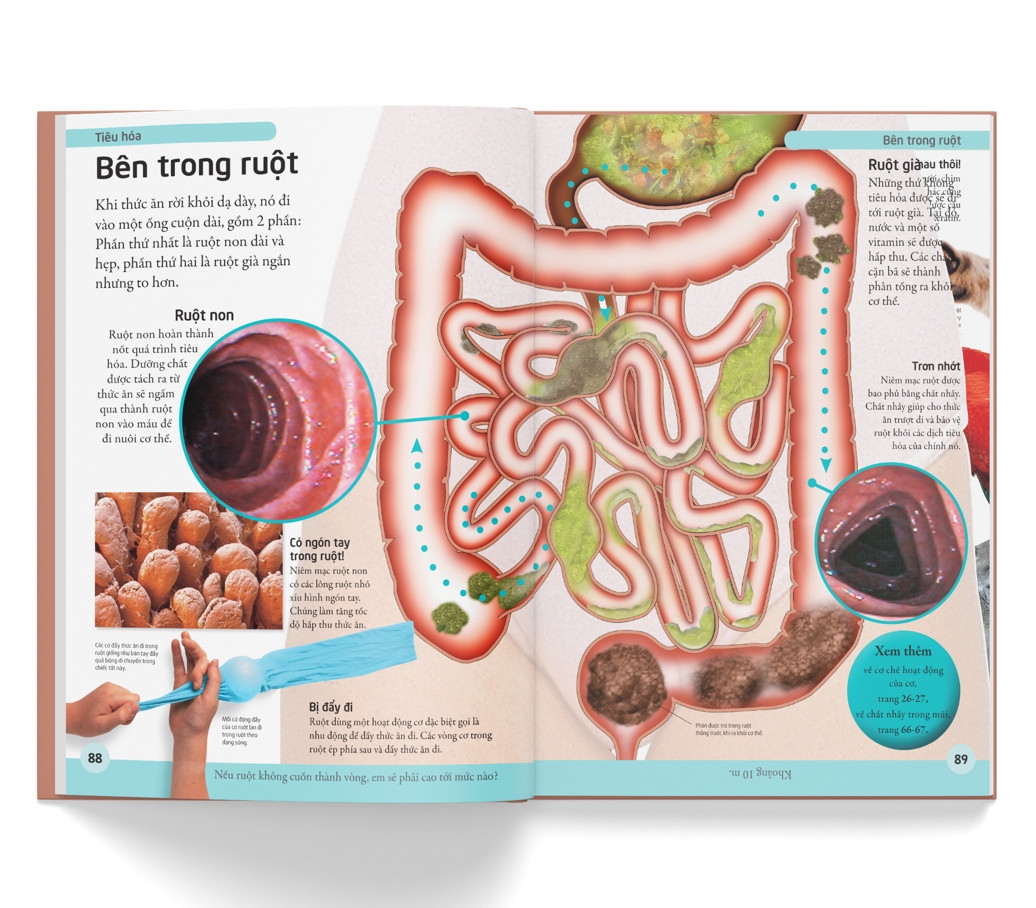 bách khoa cho trẻ em - bách khoa cơ thể người
