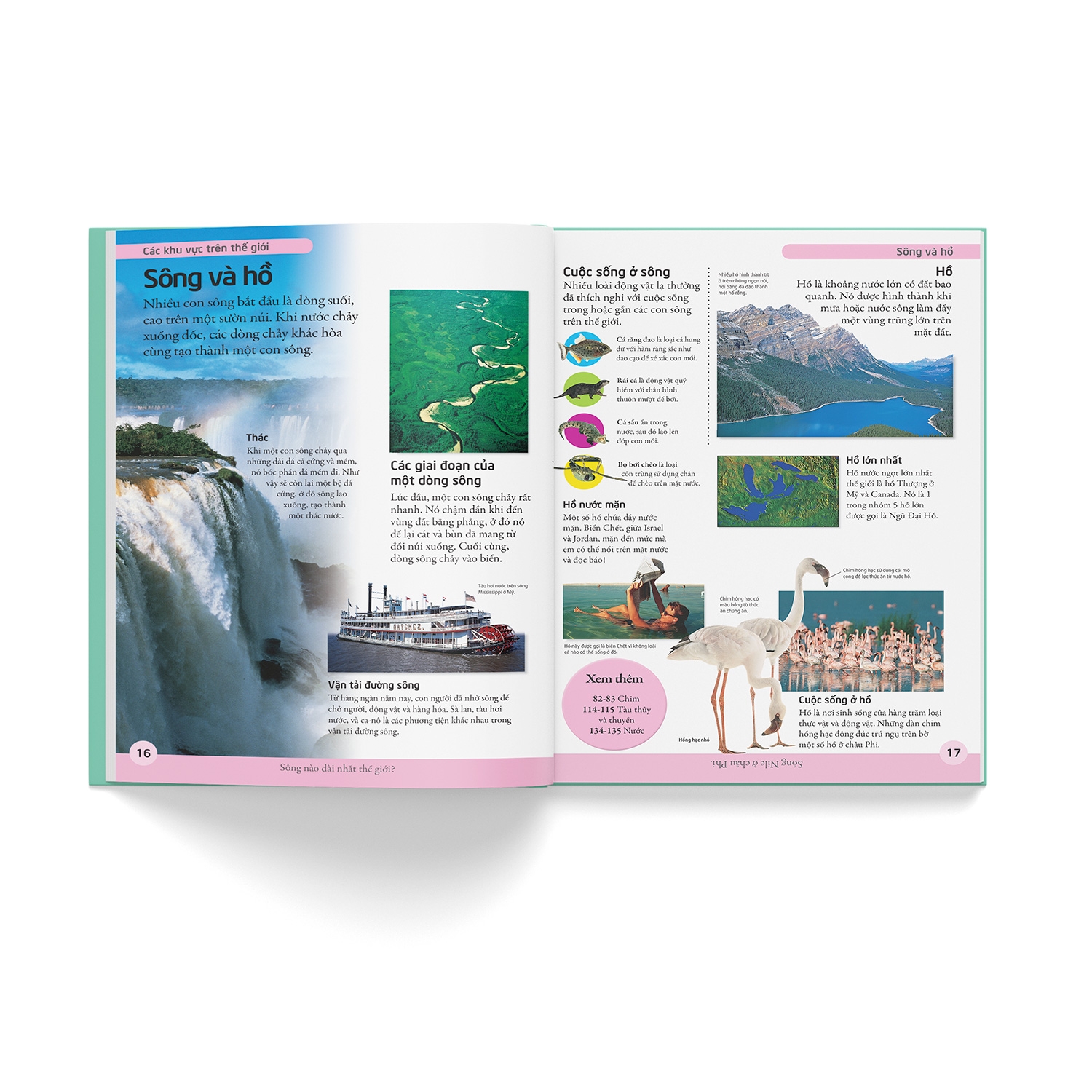 bách khoa cho trẻ em - bách khoa đầu tiên (tái bản 2021)