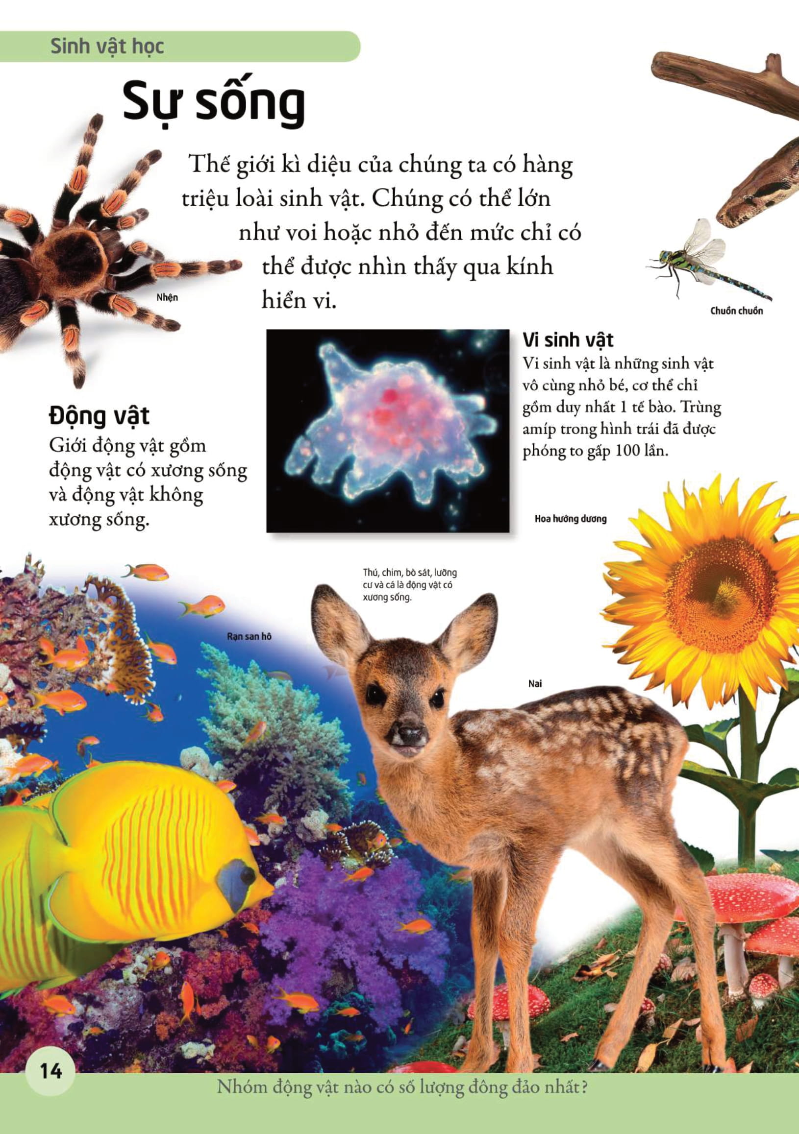 bách khoa cho trẻ em - bách khoa khoa học