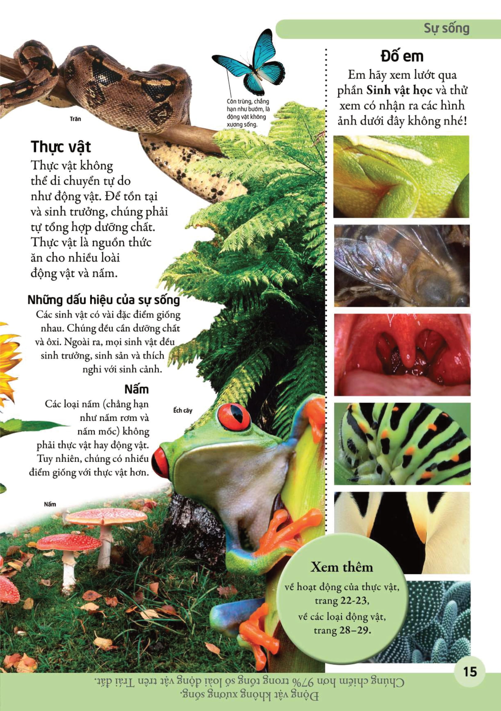 bách khoa cho trẻ em - bách khoa khoa học