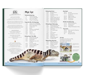 bách khoa cho trẻ em - bách khoa khủng long