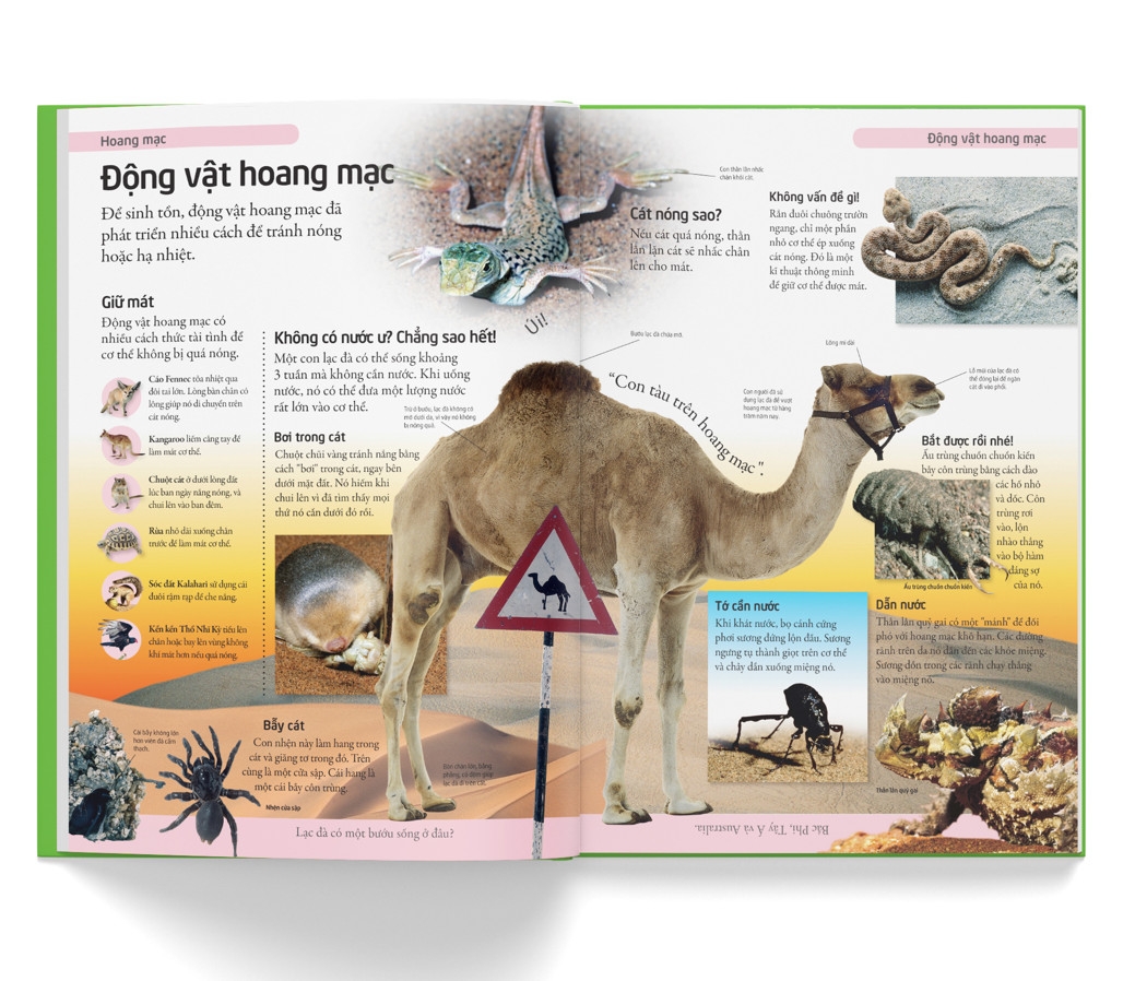 bách khoa cho trẻ em - bách khoa tự nhiên