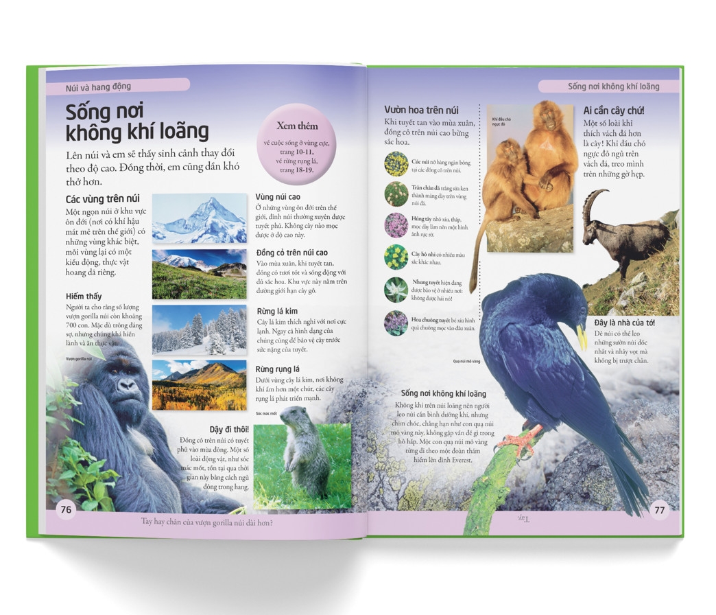 bách khoa cho trẻ em - bách khoa tự nhiên