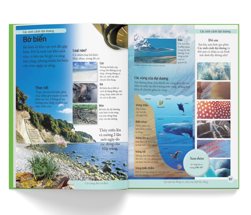 bách khoa cho trẻ em - bách khoa tự nhiên