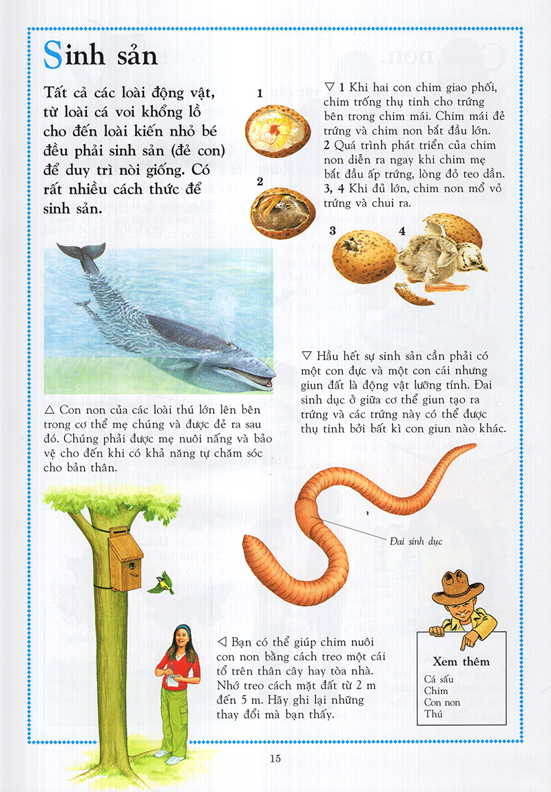 Bách Khoa Động Vật Cho Trẻ Em