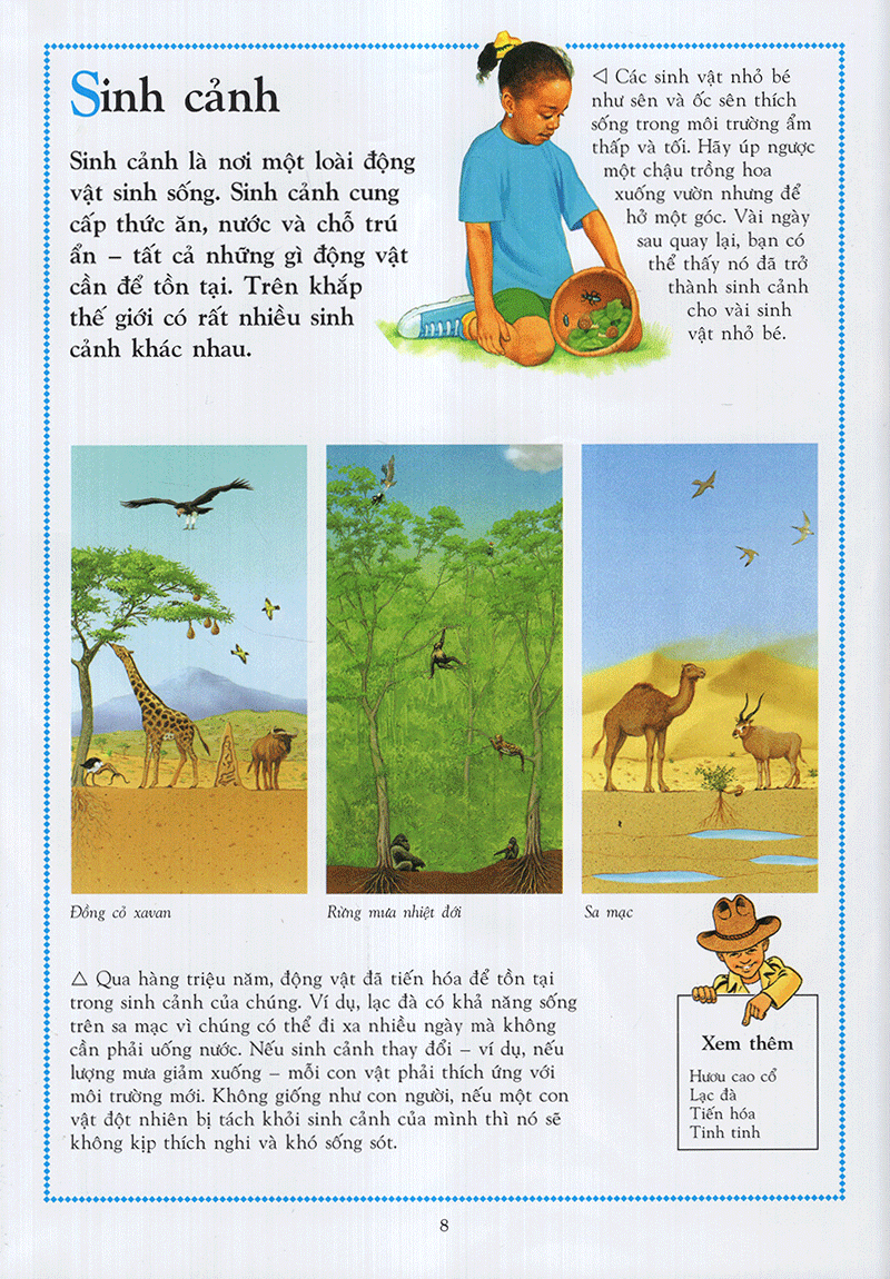 Bách Khoa Động Vật Cho Trẻ Em