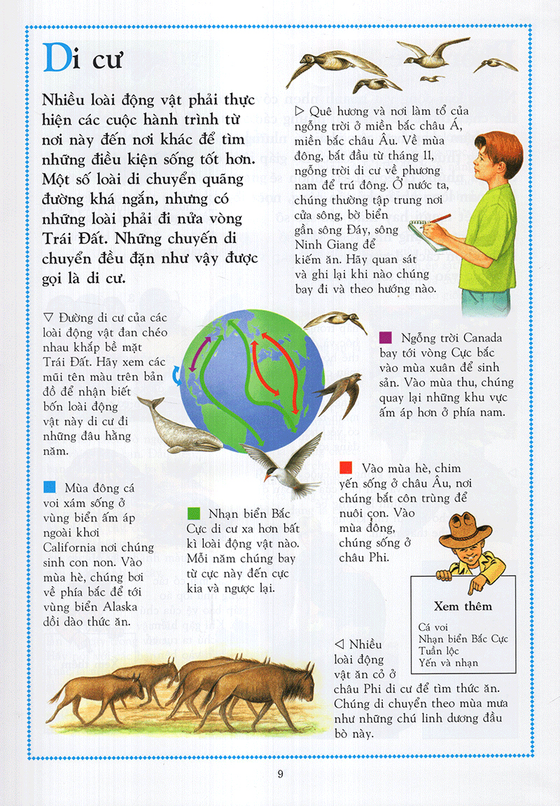 Bách Khoa Động Vật Cho Trẻ Em